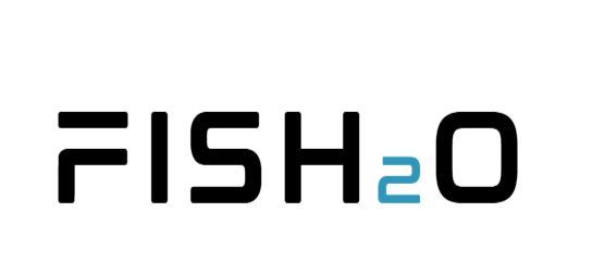 Logo of FISH2O on a white background
